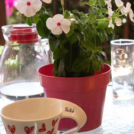 מלון דירות Stella טולון