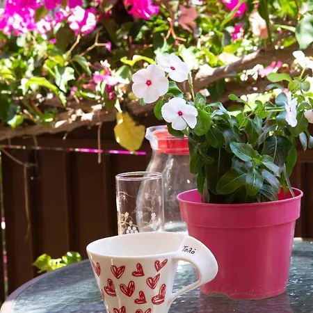 Lejlighedshotel Stella Tolón