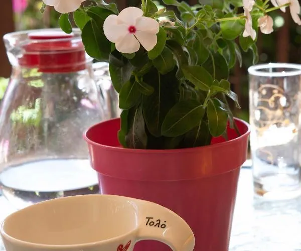 Apart-hotel Stella Tolón